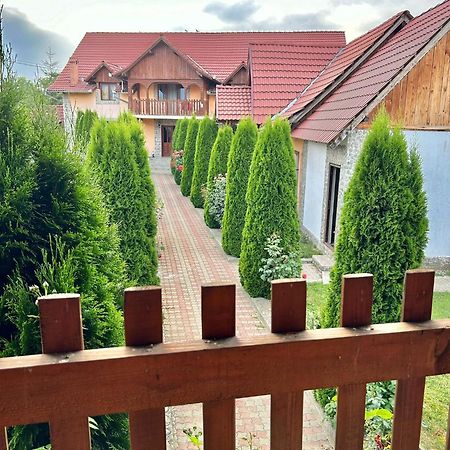 Pensiunea Casa Nina Cîrţişoara Eksteriør bilde